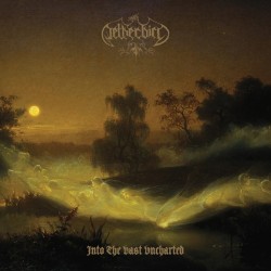 Netherbird - Into The Vast Uncharted LP
