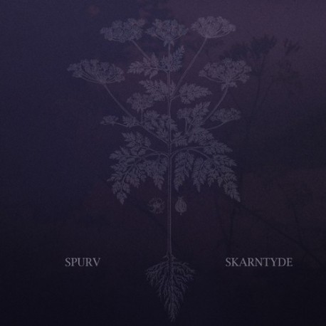 Spurv - Skarntyde LP