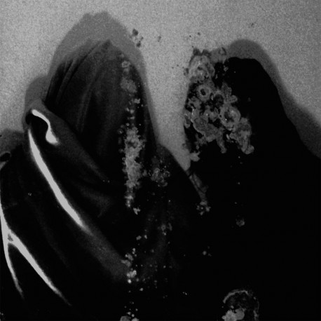 Fluisteraars - Luwte LP