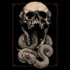 Sinmara - Aphotic Womb DLP