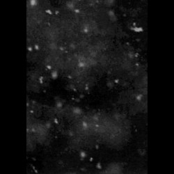 Paysage d'Hiver - Einsamkeit (Digibook)