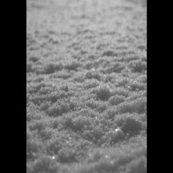 Paysage d'Hiver - Schnee (Digibook)