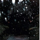 Immortal - Battles in the North (Digipak)