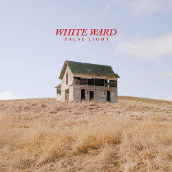 White Ward - False Light DLP