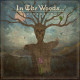 In The Woods... - Diversum CD