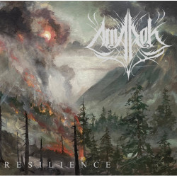 Amarok - Resilience DLP
