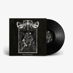 Bonjour Tristesse - Disaster Triumphant LP