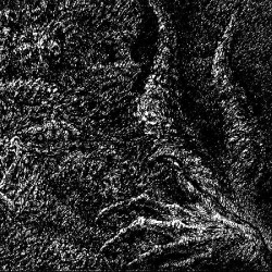 Flagellant - Morbus Nefastus