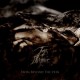 Tunes Of Despair - From Beyond The Vein