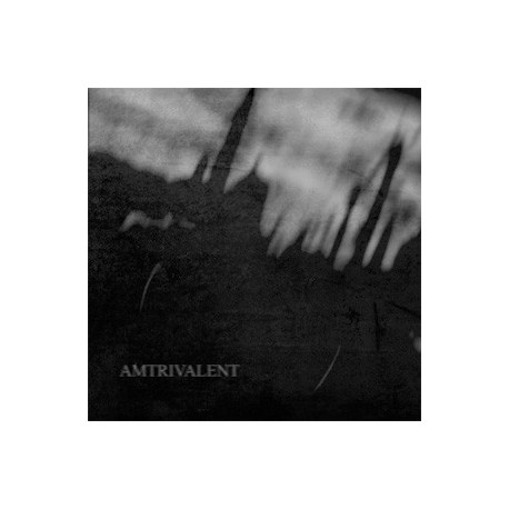 Lifeless Within/ Negative Or Nothing/ Fliegend - Amtrivalent Split CD