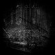 Final Thoughts / Endless Sorrow / Lost Inside Split CD