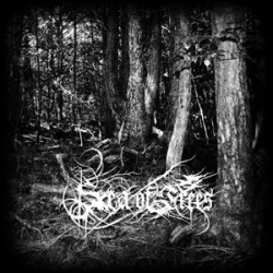 Sea of Trees - Aokigahara