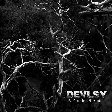 Devlsy - A Parade Of States